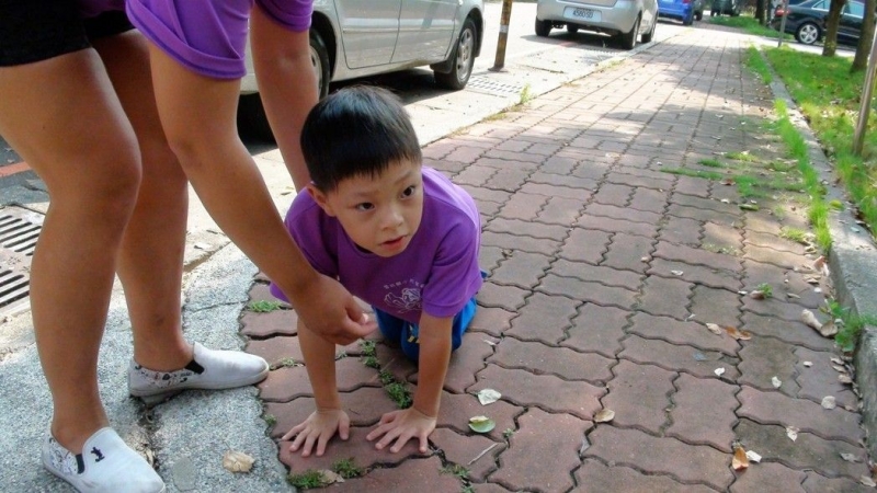 8岁的林洧璁苦练走路三个月，摔倒在地上无数次，只为参加路跑。