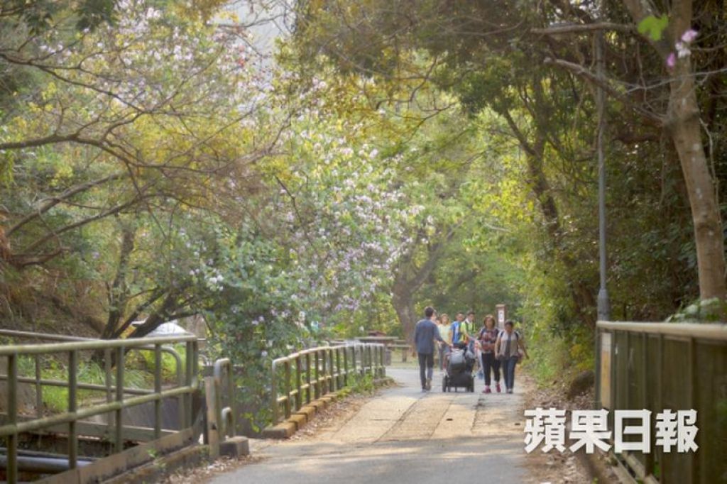 經過雷公田第二段便會走到大欖郊野公園的其中一段，天氣好時更會有不少往川龍甲龍的行山人士。