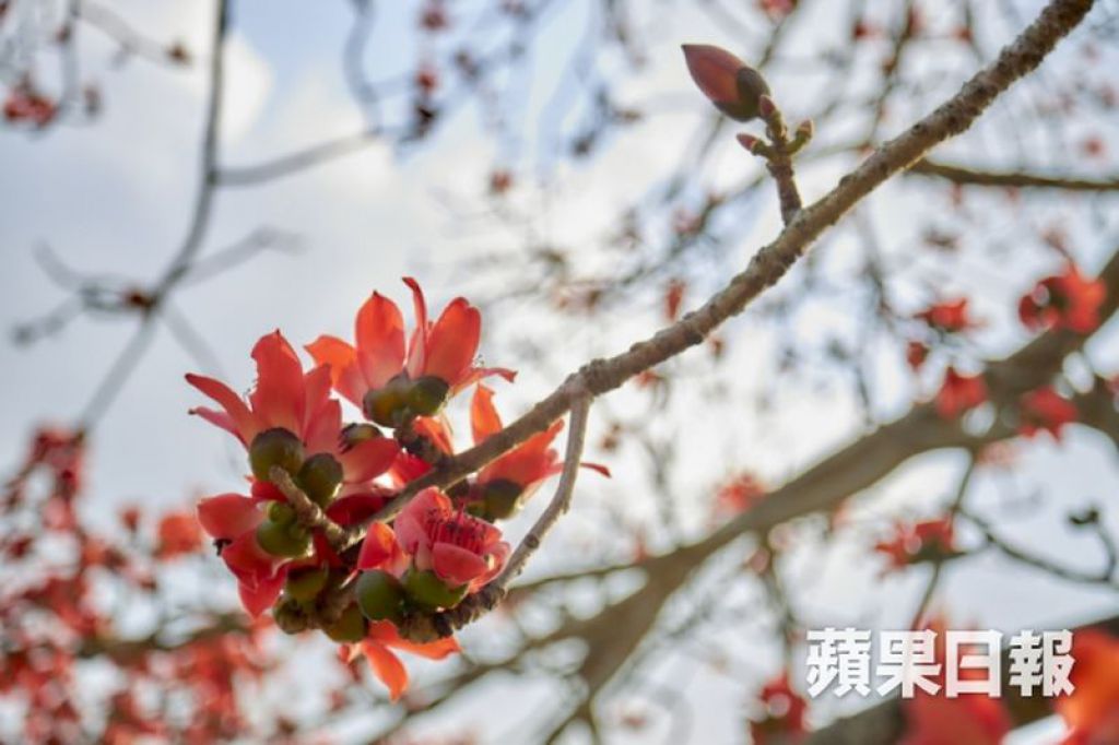 【季节限定】从抗争现场影到香港山野 跟轮椅摄影师闯石岗军营「上山最怕唔系坐轮椅，系急尿！」